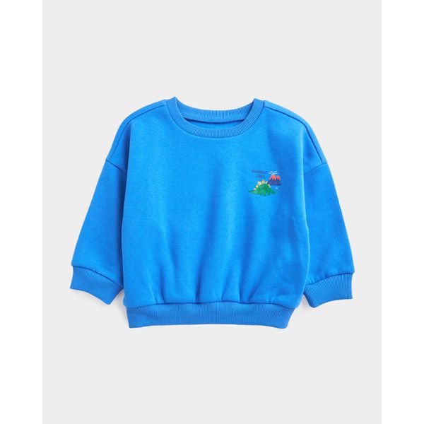 Crew Neck Sweatshirt (6 Months-5 Years)