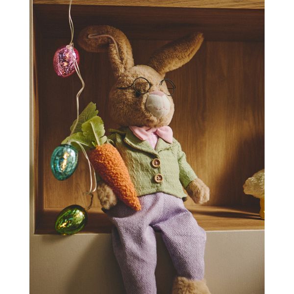 Easter Professor Bunny Sitting Decoration