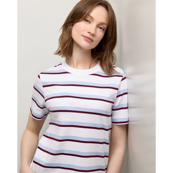 The Ultimate T-Shirt