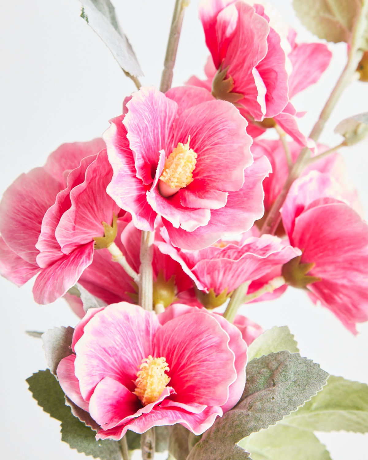 Cotton Roses - Pack Of 2 - Dunnes Stores