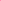 Navy-Pink