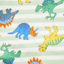Dinosaur