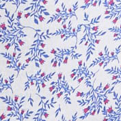 Blue-White