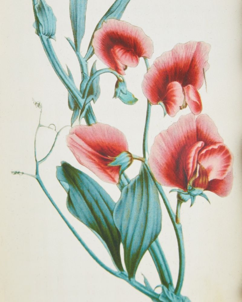 Carolyn Donnelly Eclectic Design Frame - Dunnes Stores