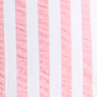 Stripe