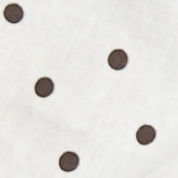 Spot