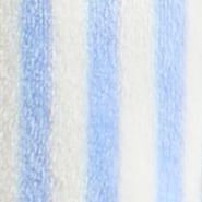 Blue-Print