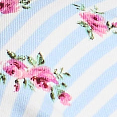 Blue-Print