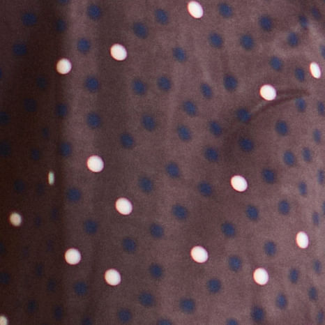 Polkadot