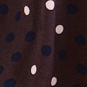 Polkadot
