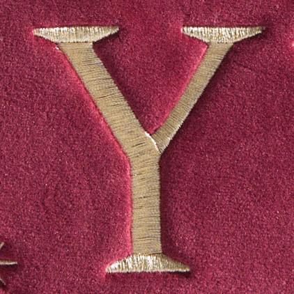 Y